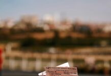 Is Sports Betting Legal In Georgia? Discover The Truth Today