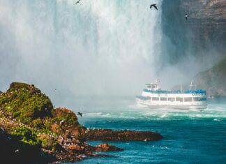 Is Pepper Spray Legal In New York? Essential Facts You Must Know