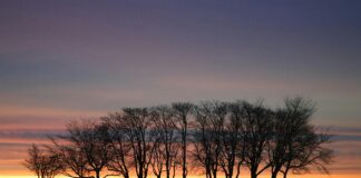 America First Legal: How Will December Changes Impact You?