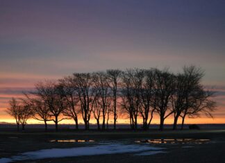 America First Legal: How Will December Changes Impact You?