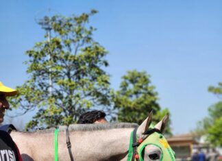 Is Sports Betting Legal In Texas? Discover The Truth Today!