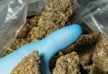 Is Marijuana Legal In South Carolina? Discover The Truth Today