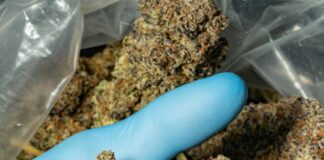 How Many States Is Marijuana Legal In? Discover The Truth Today