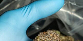 Is Pot Legal In South Carolina? Discover The Truth Today!