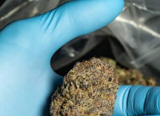 Is Pot Legal In South Carolina? Discover The Truth Today!