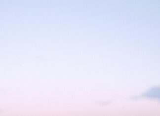 YouTube Different Kind Of Legal Hand Guns In DC: What You Must Know