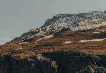 Where Is Prostitution Legal In The United States? Discover Truths