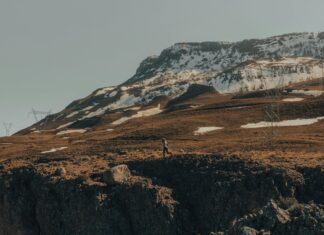 What States Is Weed Legal In The United States? Discover Now!