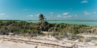 Can Trump Legally Rename The Gulf Of Mexico? Shocking Truth Revealed