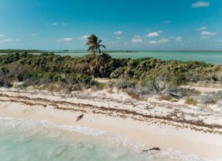 Can Trump Legally Rename The Gulf Of Mexico? Shocking Truth Revealed