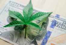 In What States Is Weed Legal: Discover Where Cannabis Is Allowed