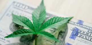 In What States Is Weed Legal: Discover Where Cannabis Is Allowed