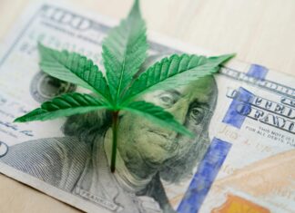 In What States Is Weed Legal: Discover Where Cannabis Is Allowed