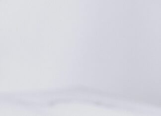 What States Aren’t Legal For Weed? Discover Shocking Truths!