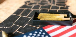 Where Is Weed Legal In The US? Discover The Surprising Truth