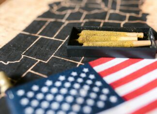 Where Is Weed Legal In The US? Discover The Surprising Truth