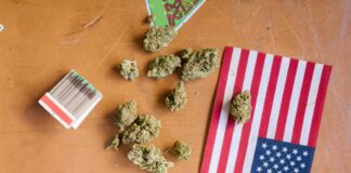 How Many States In America Have Legalized Weed? Discover Now!