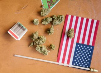 States Where Weed Is Legal In America: Discover The Surprising Truth