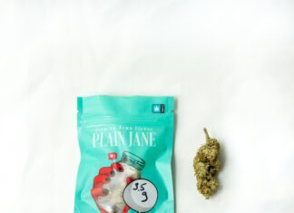 In What States Is Growing Weed Legal? Discover The Surprising Truth