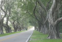 Is Lane Splitting Legal In Florida? Discover The Shocking Truth