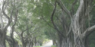 Is Lane Splitting Legal In Florida? Discover The Shocking Truth