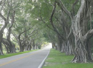 Is Lane Splitting Legal In Florida? Discover The Shocking Truth